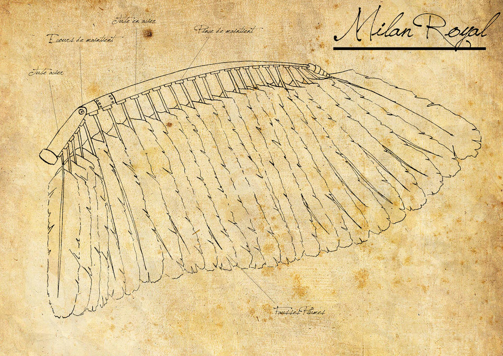 Automaton Bird - wing by UmbaptizeD on DeviantArt