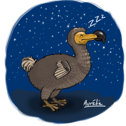 Weeklies #21 - Dodo