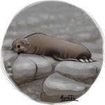 Weeklies #3-08 Seal by Aurelie-Charmeau