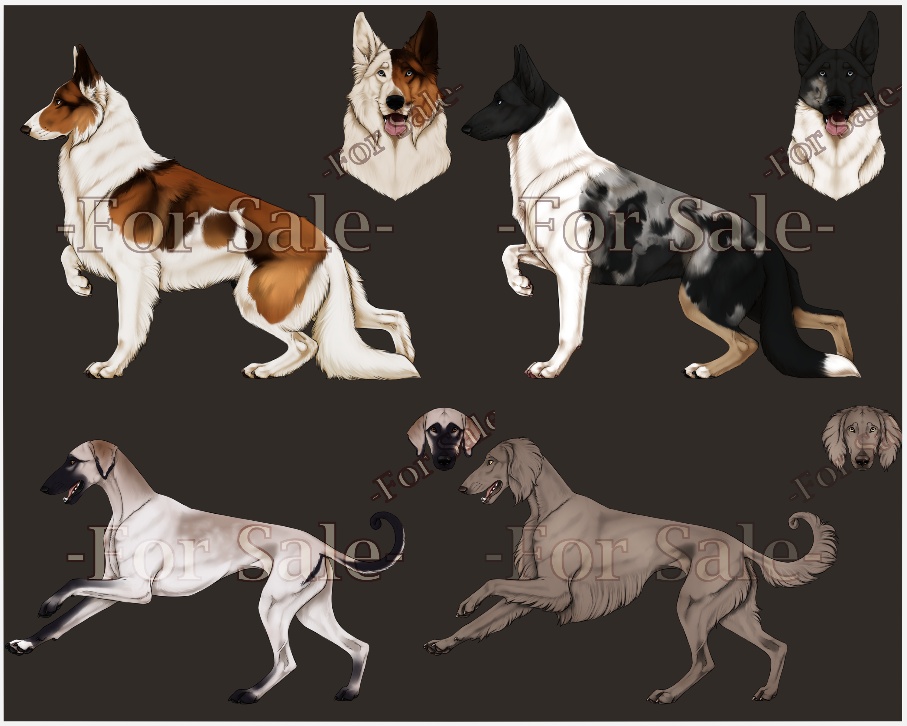 HOME adopts | 2/4 OPEN