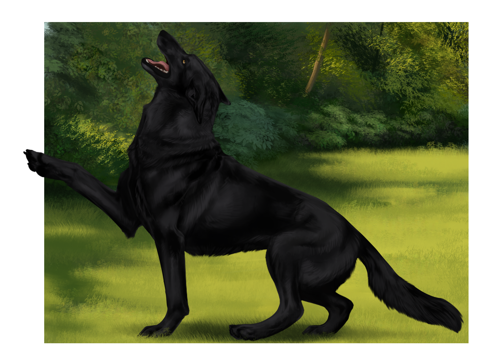 Commission: Whiskey's IPO1