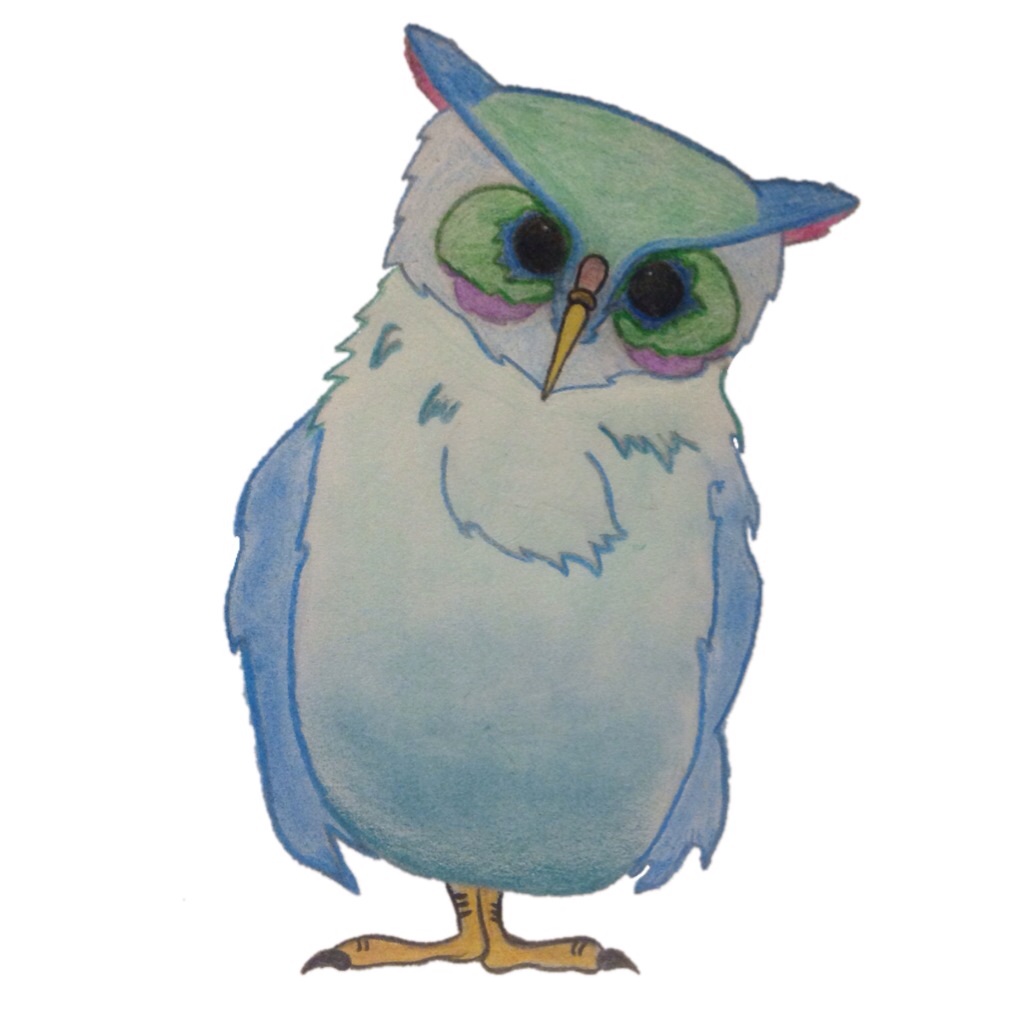 Owl illustration