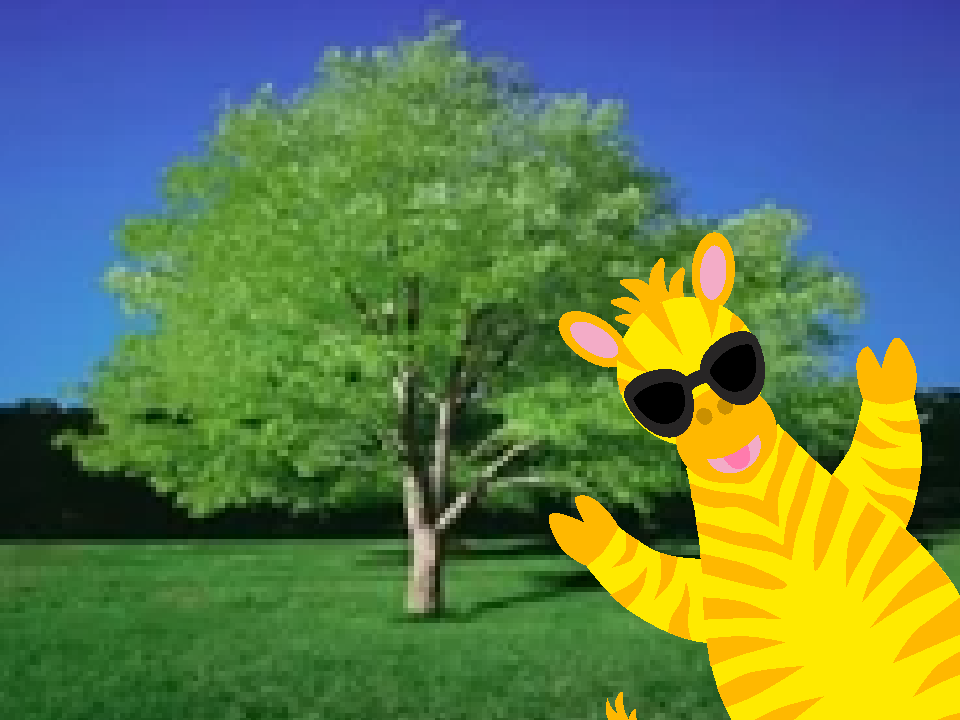 Summer Tree (Baby Monet) by FanartQuacker on DeviantArt