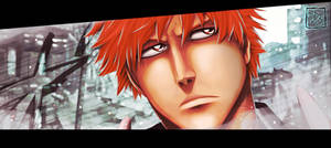 Bleach 584 (Quick color)