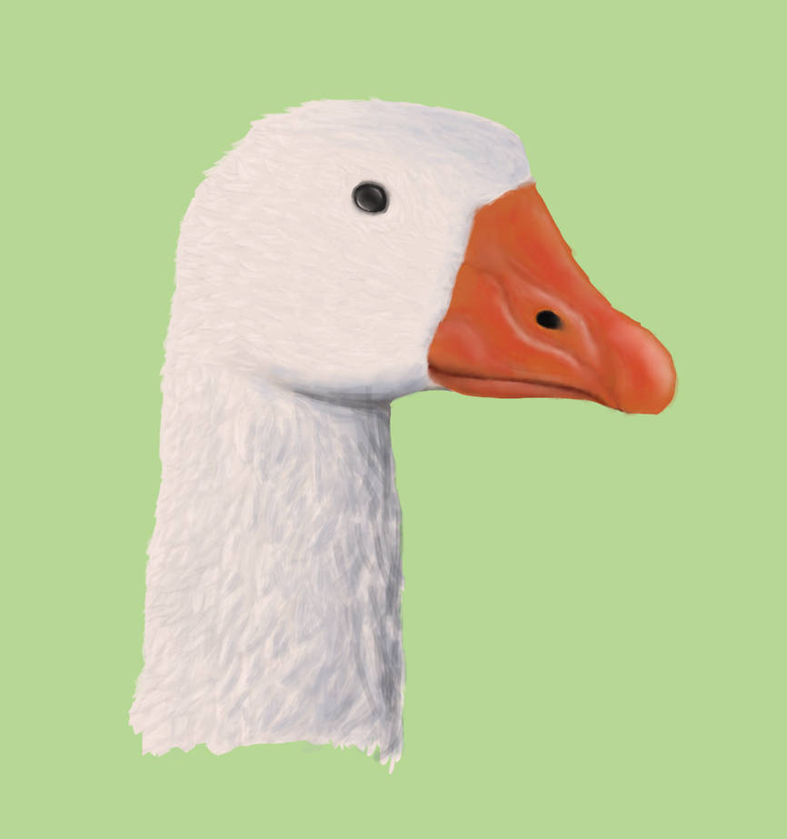 Deviantart Goatse Goose by DaiterGG on DeviantArt