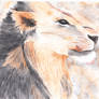 Watercolor Lion