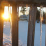 Icicles with a sunset