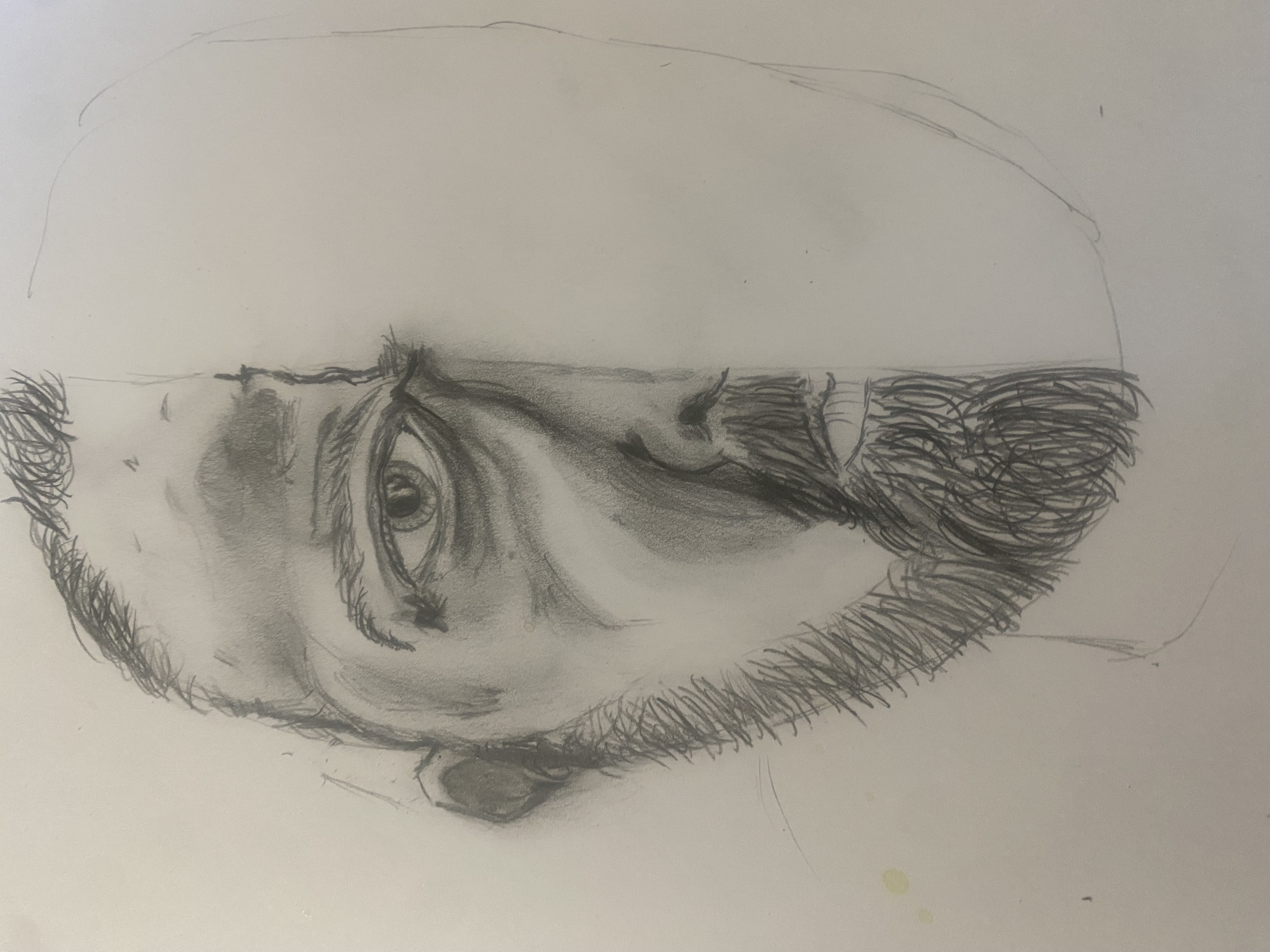 Portrait Rough Pages Rough sketch portrait by slyfox2015 on DeviantArt
