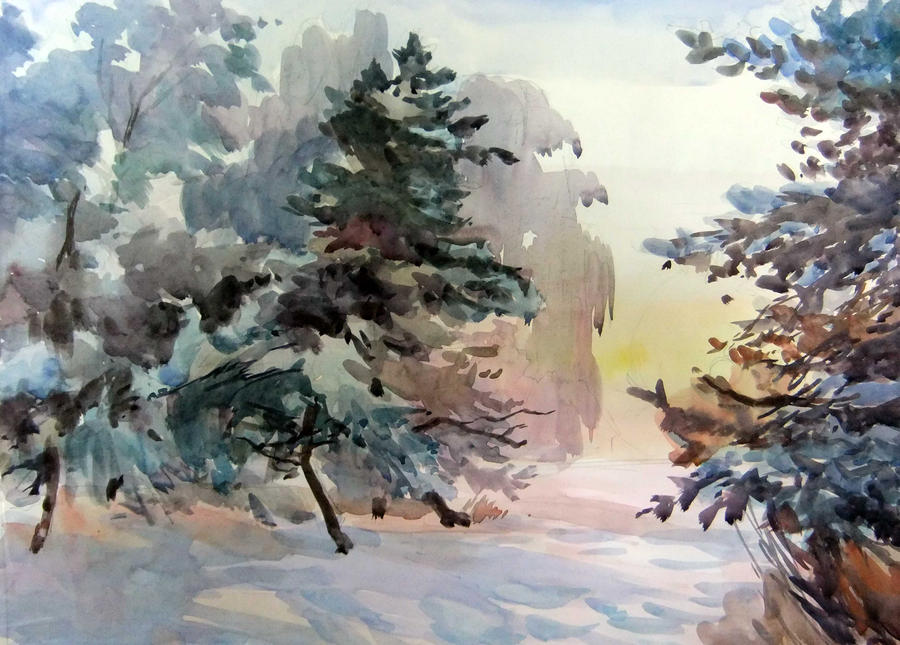 frost and fir-trees