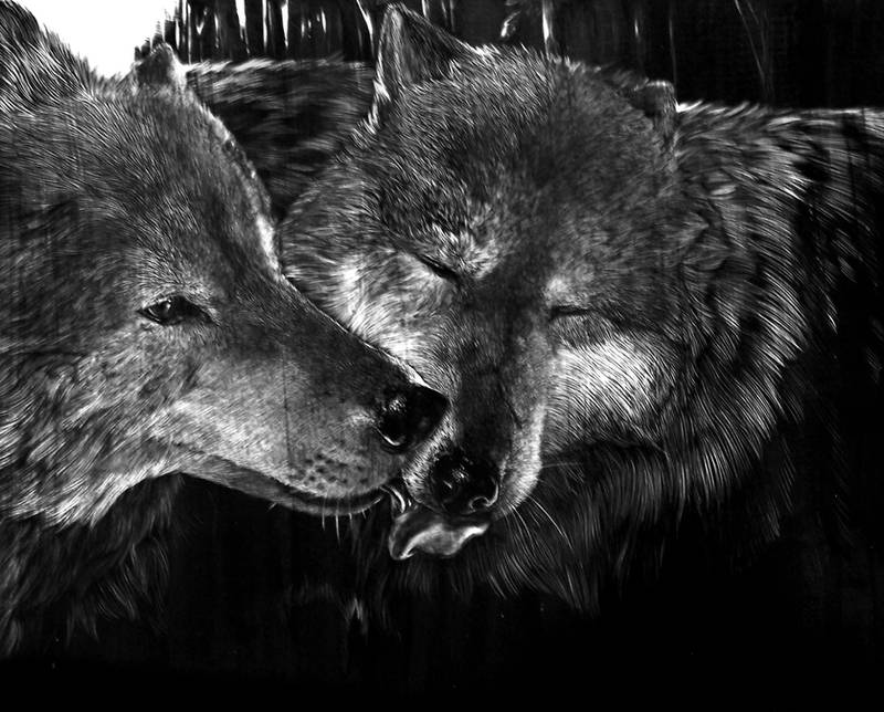 Tru Love by Shapooda