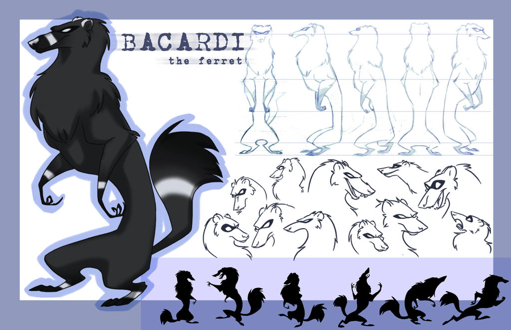 Bacardi the ferret