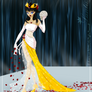 MSP 2014 R5 Formal Wear on Stage