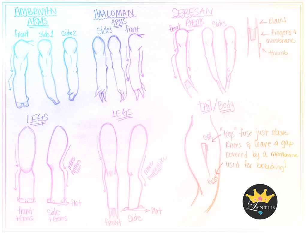 How-To: Drawing Ambaran Species by iLantiis