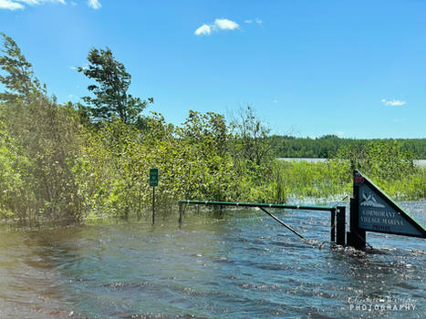 Rainy Lake Flood 5