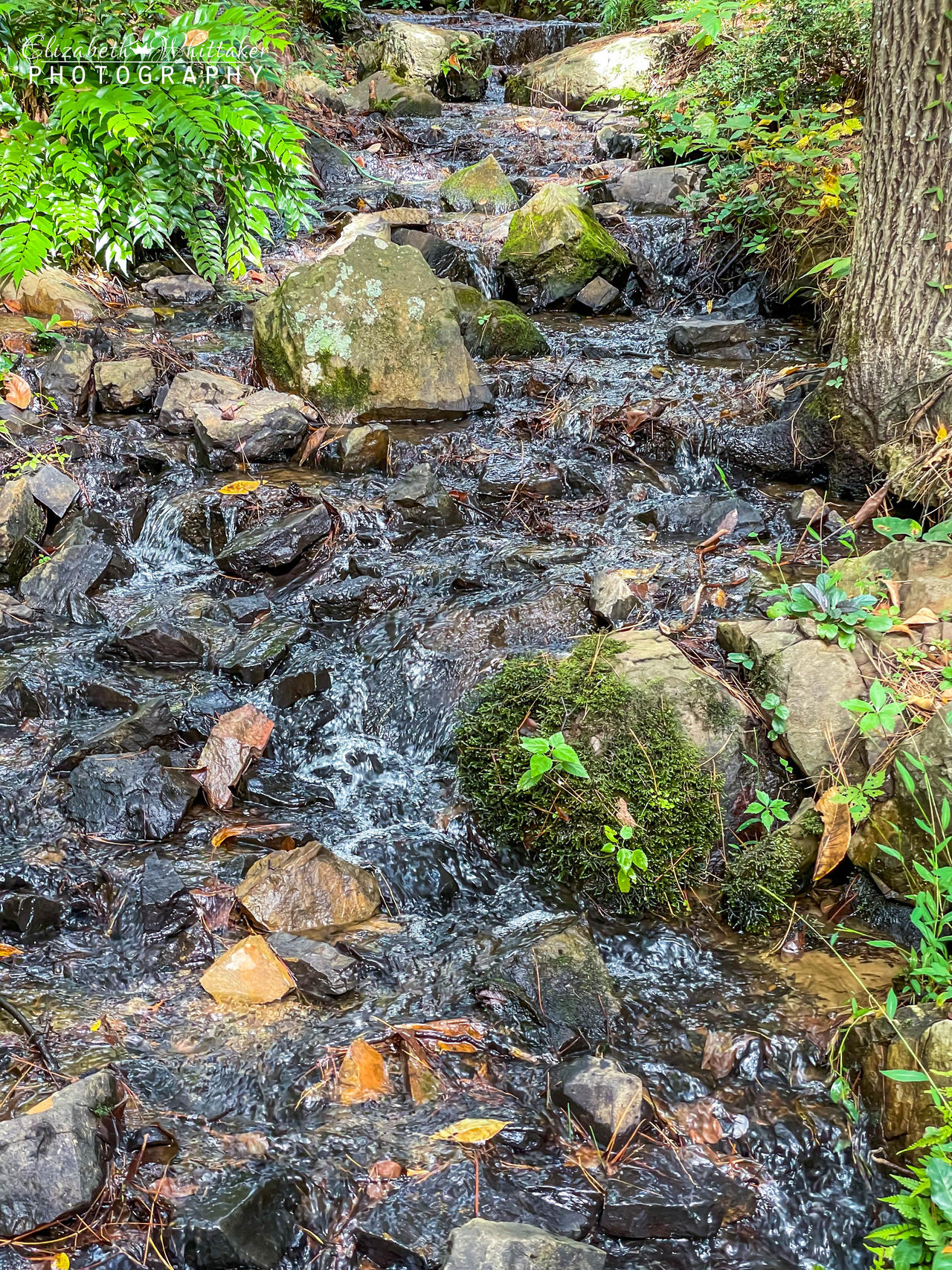 Creek