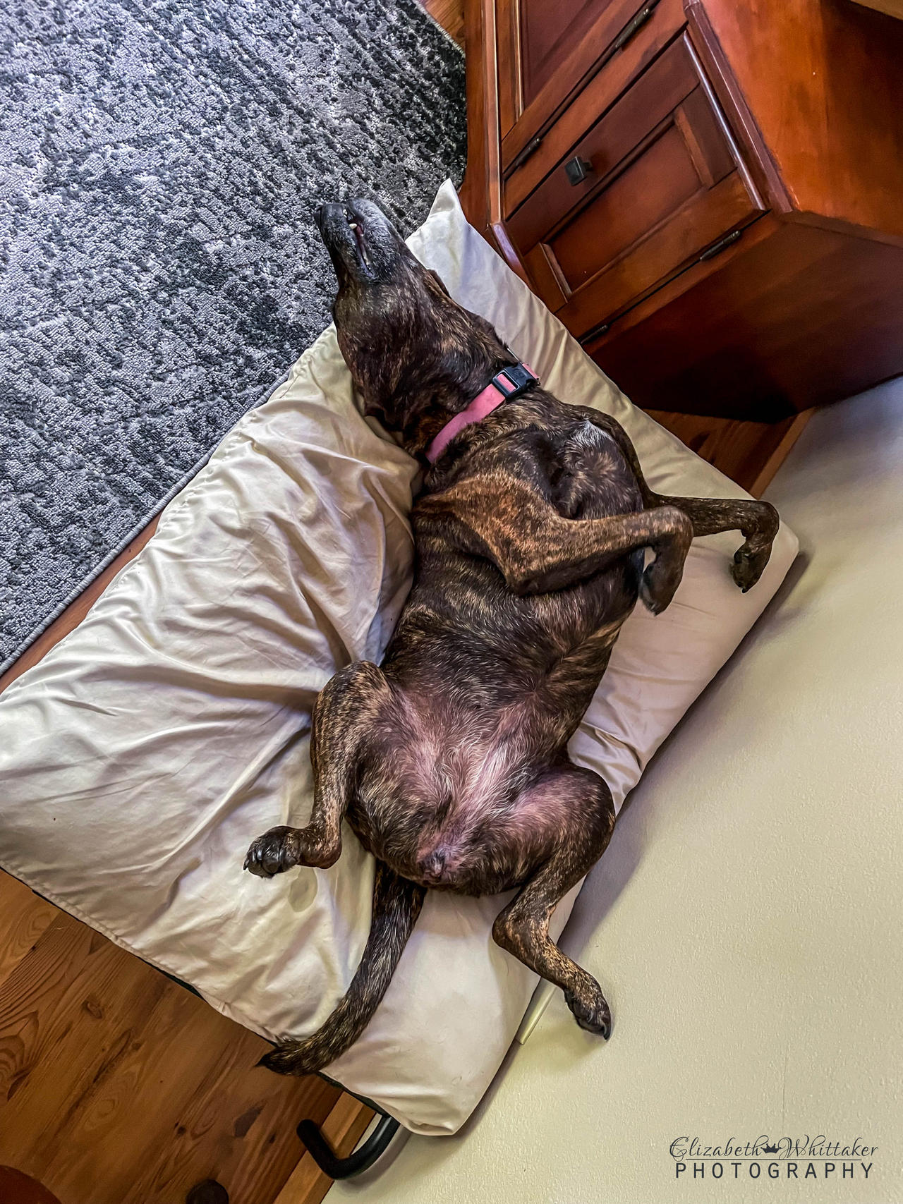 Sleepy Best Life 1