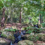 Small Waterfall 2