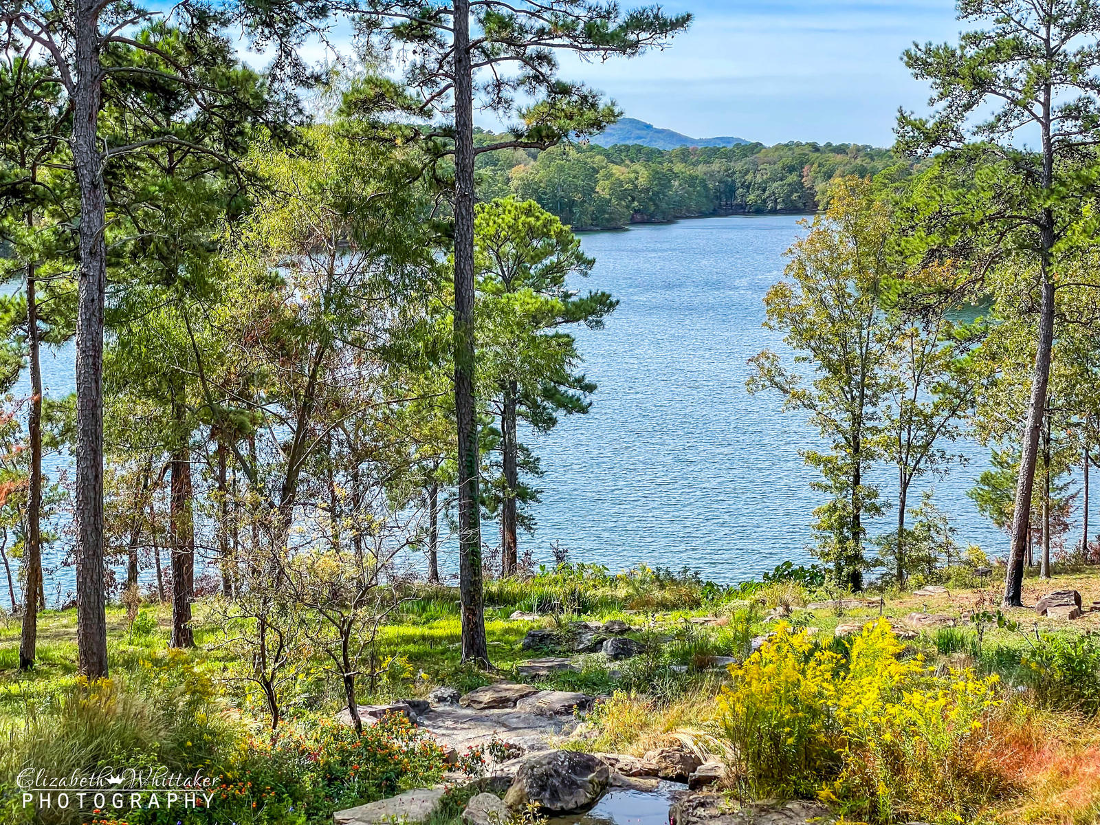 The Lake