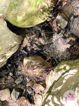 Water and Rocks