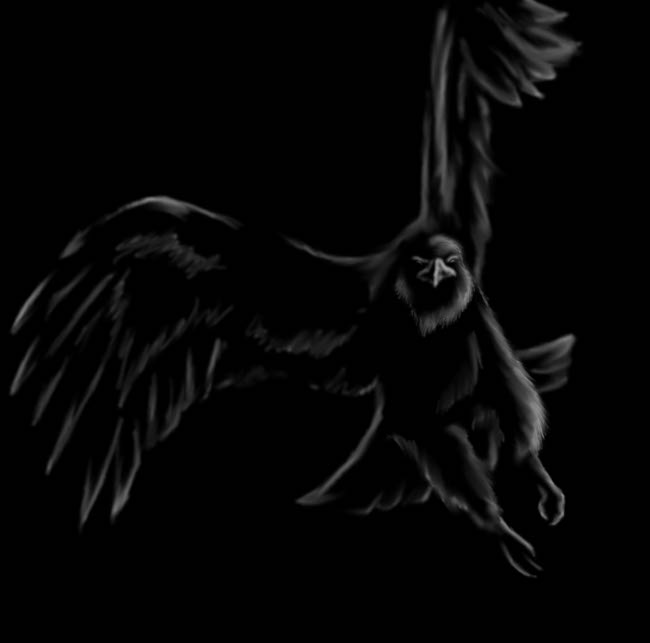 Black Eagle by Rhodea on DeviantArt