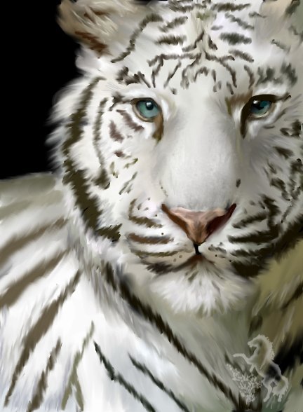 White Tiger