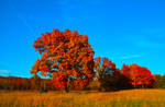 Colors of Autumn by Photo-by-Kristian