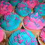 Pink and Blue Vanilla Cupcakes