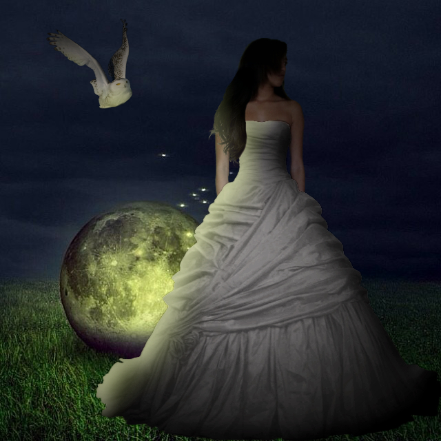 the moon goddess