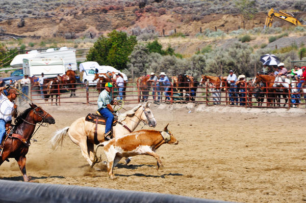 Team Roping Finals 2 by IsisAndTheNight on DeviantArt