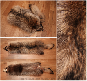 Raccoon dog pelt