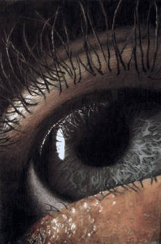 Prismacolor Eye