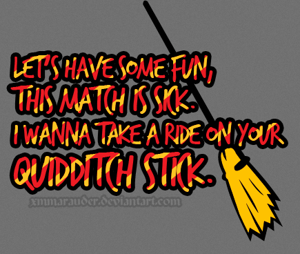 quidditch stick.