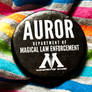 HP - auror badge.