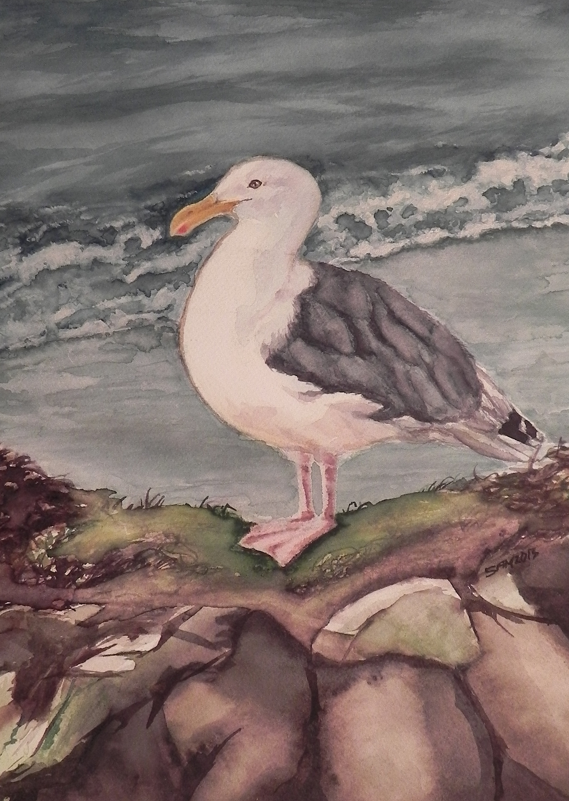 Sea Gull Watercolor