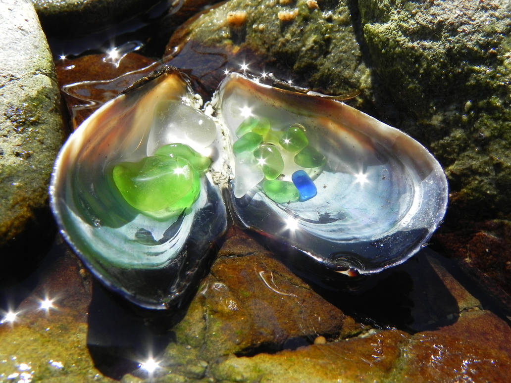 Muscle Shell with Sea Glass 2 by Samela7 on DeviantArt