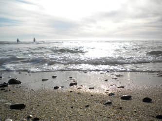 Shells and Pebbles