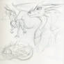 Dragon studies 2