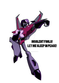 Let starscream sleep