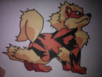 Arcanine