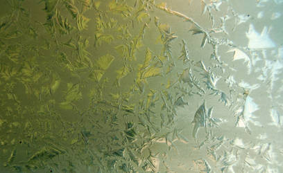 Frost on Glass