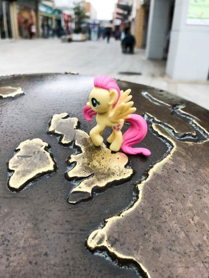 Fluttershy on the globe in kings lynn (uk)