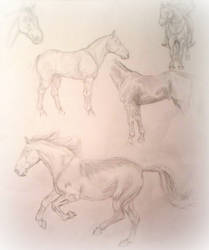 Horse doodles