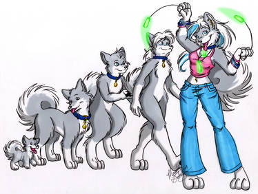 Evolution of a Furry