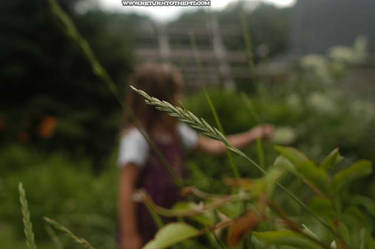 grass and a girl