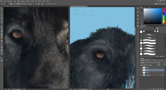 Black wolf WIP