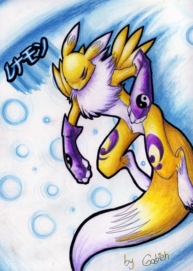 RENAMON RLZ