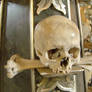 Bone church skull