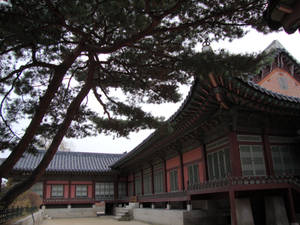 Stock - Palace in Seoul