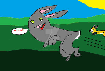 Rabbit Vs Fox by warriorcatlover567 on DeviantArt