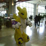 renamon AB11